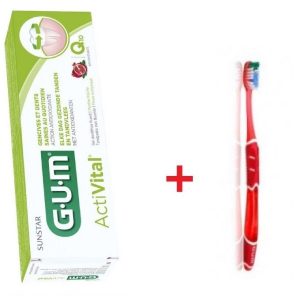 GUM ACTIVITAL DENTIFRICE + BAD PACK PROMO