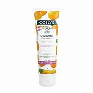 COSLYS NUTRITION INTENSE SHAMPOOING CHEVEUX SECS ET ABÎMÉS 250ML