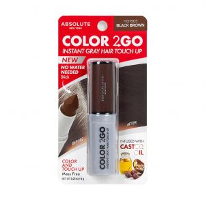 ABSOLUTE COLOR 2 GO HAIR STICK CHEVEUX 04 DARK BROWN